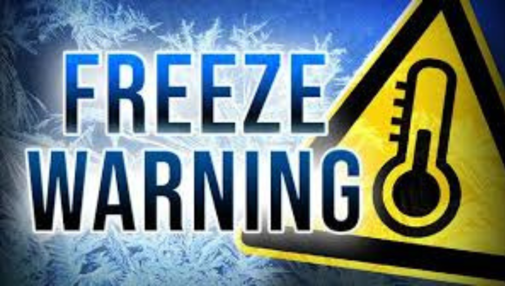 Freeze Warnings